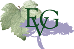 EVG Logo bottom
